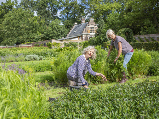 Vrijwilligers aan de slag bij kasteel Duivenvoorde (foto: Floris Scheplitz / Erfgoedhuis Zuid-Holland)