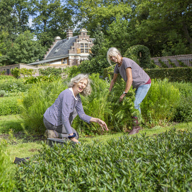 Vrijwilligers aan de slag bij kasteel Duivenvoorde (foto: Floris Scheplitz / Erfgoedhuis Zuid-Holland)