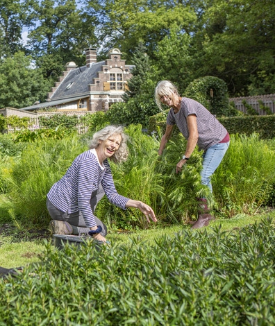 Vrijwilligers aan de slag bij kasteel Duivenvoorde (foto: Floris Scheplitz / Erfgoedhuis Zuid-Holland)