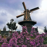 Molen De Roos in Delft aan de buitenkant