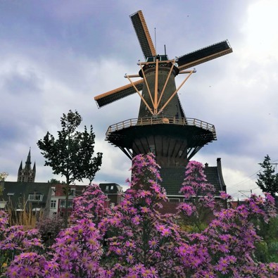 Molen De Roos in Delft aan de buitenkant