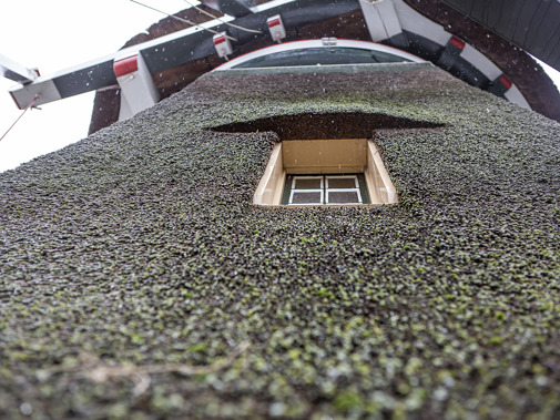 Foto: Floris Scheplitz / Erfgoedhuis Zuid-Holland