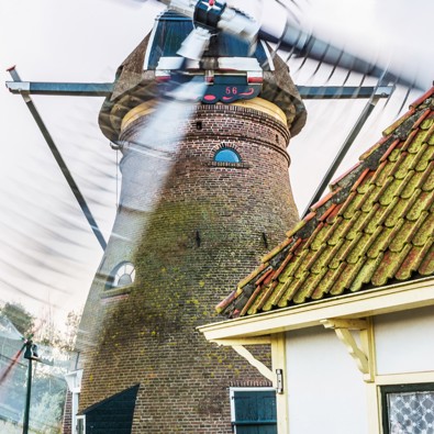 Stadmolen met wit molenaarshuisje op de voorgrond