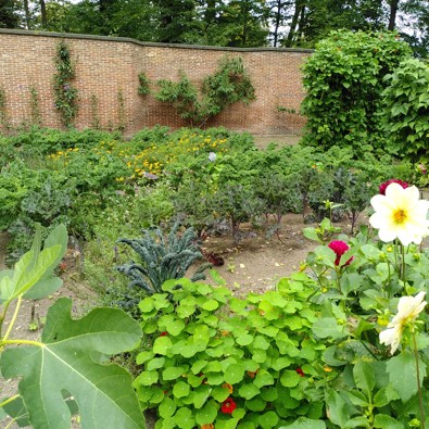 De moestuin van de buitenplaats Berbice