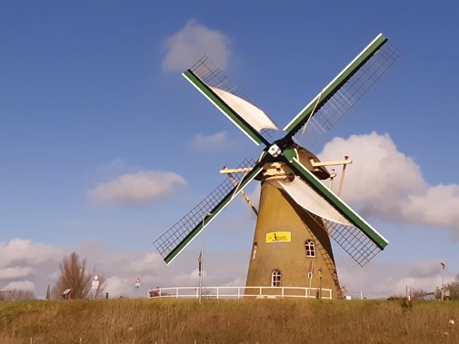 Molen De Lelie gezien, bekeken vanuit het westen