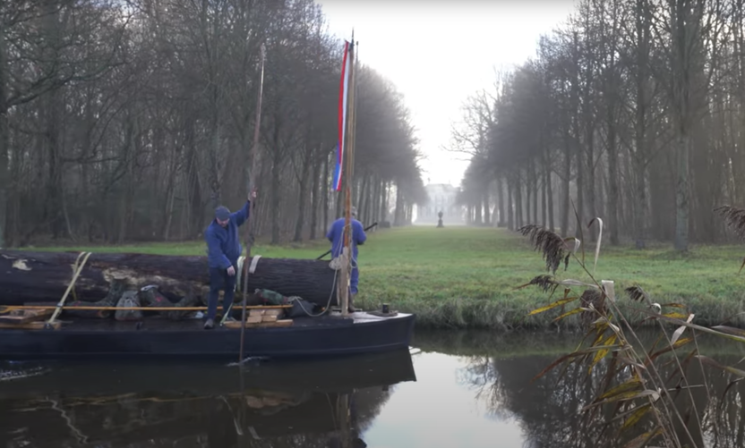 Van boom tot boeier: bomen over de trekvaart (Beeld: Yuri van Koeveringe)