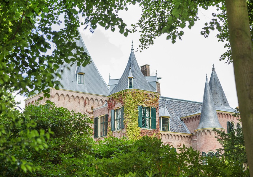 Planten en boom met op achtergrond een kasteel