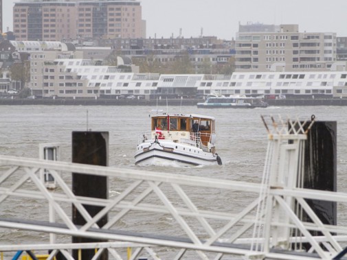 Ondertussen is Veerdienst 3 bezig met een rondvaart op de Nieuwe Maas. Foto: Floris Scheplitz